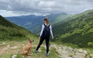 Nina, pes ktorý zmenil život mnohým