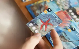 BIODIO – objav krásu prírodného sveta v tematickej kartovej hre