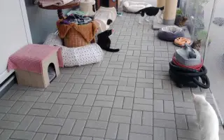 Zabezpečme mickám bezpečný výbeh v depozite