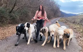 Pomôžte nám vybudovať jedinečný útulok - CPZ Centrum prevýchovy zvierat !