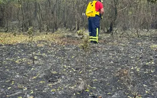 Pomôžme DHZ Devín získať termokamery na vyhľadávanie skrytých ohnísk