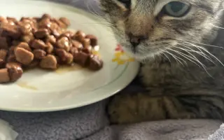 Pomôžme malému Oskarkovi znovu sa postaviť na labky