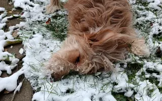 Pomôžme Lakymu pri liečbe rakoviny