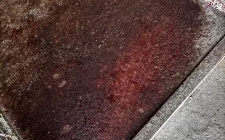 Darujme útulku CERBERUS v Senici nové oplotenie