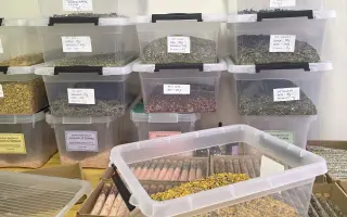 Podpor voňavú kozmetiku Veloure a pomôž vytvoriť pracovné miesta