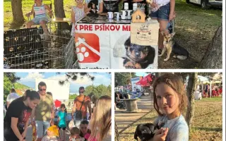 Zachráňme tuláčikov z východného Slovenska