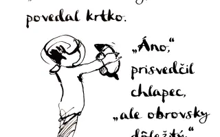 Benefičný koncert Violinissimi – keď hudba stavia vnútornú silu