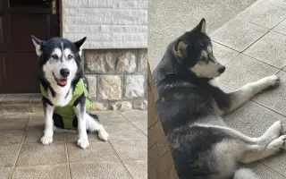 Pomôžme Tine s operáciou nádoru