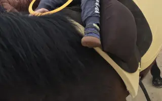 Dôstojný domov pre tichých terapeutov - liečia a menia sny