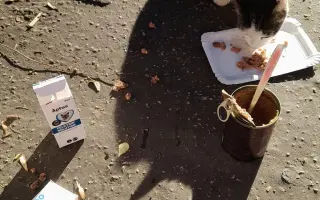 Pomôžme kocúrikovi Chlapcovi konečne voľne dýchať