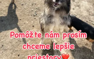 Zlepšime spoločne podmienky pre psíkov v útulku Šťastné labky