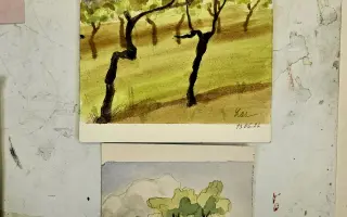 Spoločne otvoríme Arteviu, kde ožije umenie, vinohradnícky dom a človek