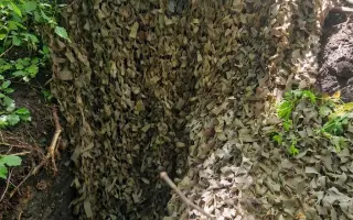 Spletinia – maskovacie siete pre tých, ktorí bránia svoju vlasť