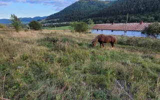 POMÔŽTE nám vybudovať farmu plnú radosti