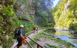 Pomôžme Brii opäť behať po štyroch labkách