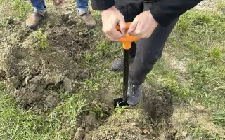 SadímeStromy: Posadíme 100 stromov každý rok