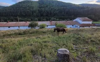 POMÔŽTE nám vybudovať farmu plnú radosti