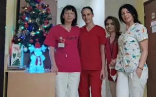 Pomôžme Katke rehabilitovať a vrátiť jej úsmev na tvári