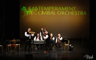 Spolu to znie najlepšie | Podporte vznik Nového albumu TCO: VEDNO