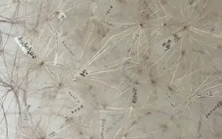 Spoznajte umenie textilu na medzinárodnej výstave Weave the wave!