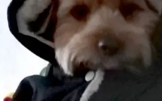 Pomôžme Charliemu získať späť kúsok života Pomôžme Charliemu získať späť kúsok života