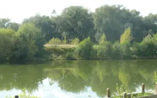 Šalátový sen | podporte ekologickú hydroponickú farmu bez pôdy