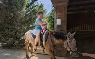 Pomohli ste Šimonkovi k lepšiemu životu