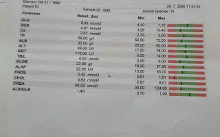 Pomôžme Leuške žiť bez bolesti a svrbenia