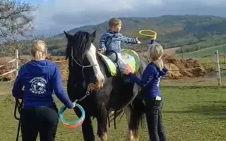 Dôstojný domov pre tichých terapeutov - liečia a menia sny