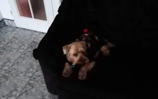 Pomôžme Charliemu získať späť kúsok života Pomôžme Charliemu získať späť kúsok života