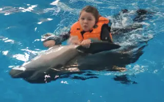 Pomôžme Alex zabezpečiť delfínoterapiu a hyperbarickú komoru