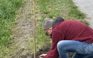 SadímeStromy: Posadíme 100 stromov každý rok