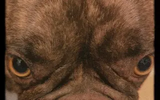 Pomoc pre Riuka – bojuje, ale potrebuje nás