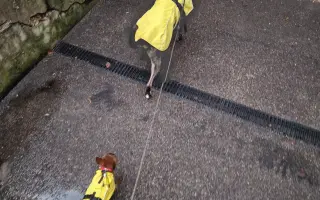 Darujme Lujze plnohodnotný život