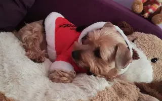 Pomôžme Charliemu získať späť kúsok života Pomôžme Charliemu získať späť kúsok života