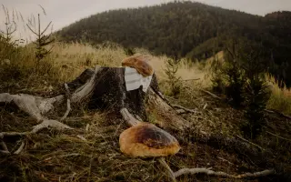Podporte výstavu Ženy v SNP / Hrdinky, na ktoré sme (ne)zabudli