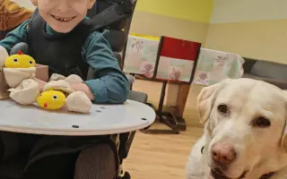 Pomôžme Miškovi postaviť sa na nôžky