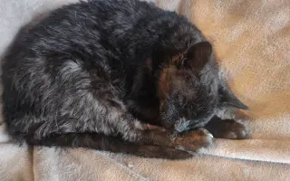 Laruška bojuje o život – pomôžme jej zvíťaziť nad bolesťou