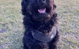 Pomôžte Kyrkovi pokračovať v liečbe vzácneho nádoru nadobličky