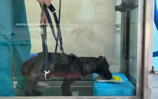 Bežíme za Tuláčik🐾