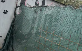 Darujme útulku CERBERUS v Senici nové oplotenie