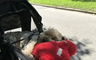 Pomôžme Charliemu získať späť kúsok života Pomôžme Charliemu získať späť kúsok života