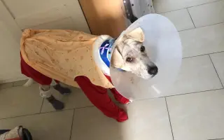 Pomôžme Hugovi bojovať o dôstojný život bez bolesti