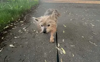 Pomôžme Ferovi znovu sa nadýchnuť