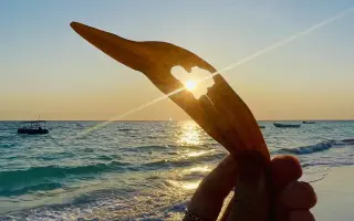 Pomôžte mi vybudovať obchod s kaviarňou na Zanzibare
