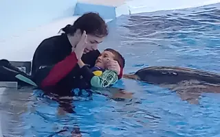 Darujme Dávidkovi delfínoterapiu