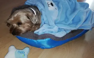 Pomôžme Charliemu získať späť kúsok života Pomôžme Charliemu získať späť kúsok života