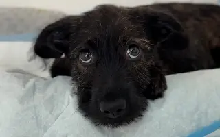 Bežíme za Tuláčik🐾