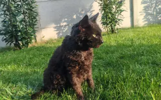 Laruška bojuje o život – pomôžme jej zvíťaziť nad bolesťou