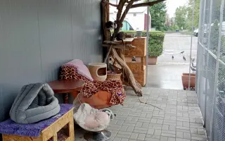 Zabezpečme mickám bezpečný výbeh v depozite